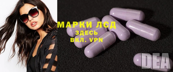 индика Володарск