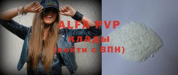 индика Володарск
