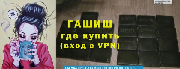 индика Володарск