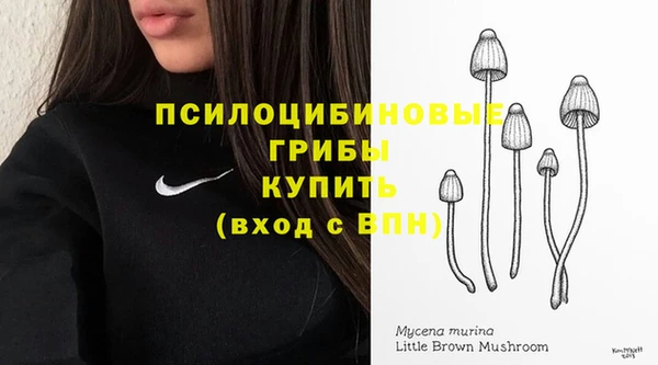 мяу мяу мука Вяземский