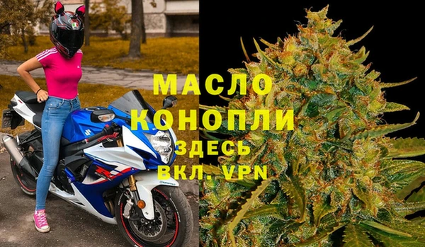 индика Володарск