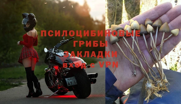 спайс Вязьма