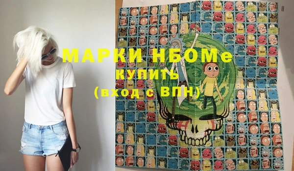 индика Володарск