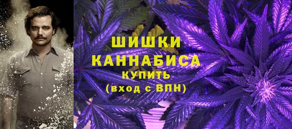 индика Володарск