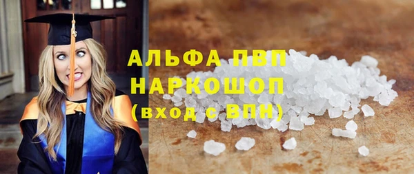 индика Володарск