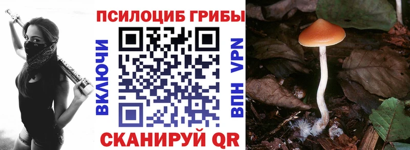 где продают   Звенигород  Псилоцибиновые грибы прущие грибы 